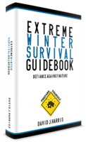 Extreme Winter Survival Guidebook – Defiance Against Nature discount coupon