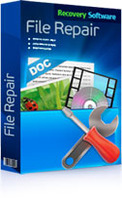 RS File Repair 1.1 discount coupon