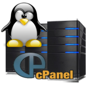 Amazing Web Hosting Plan (Annualy Term) discount coupon