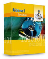 Kernel Recovery for JFS - Corporate License