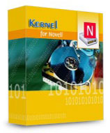 Kernel Recovery for Novell NSS - Technician License