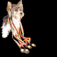 The Ultimate Dog Breeding Software discount coupon